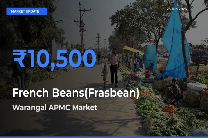 Warangal APMC Emerges as Top Mandi for French Beans(Frasbean) Prices Today