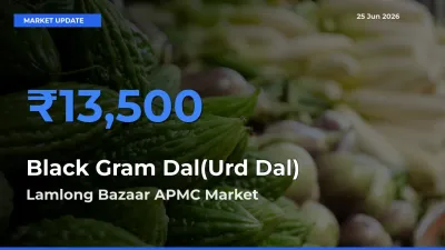 Lamlong Bazaar APMC Leads as Top Mandi for Black Gram Dal(Urd Dal) Prices