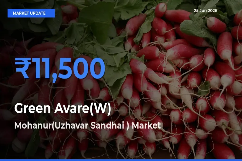 Green Avare(W) Mandi Rate Today: Mohanur(Uzhavar Sandhai ) Tops the List