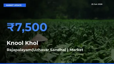 Rajapalayam(Uzhavar Sandhai ) Leads as Top Mandi for Knool Khol Prices