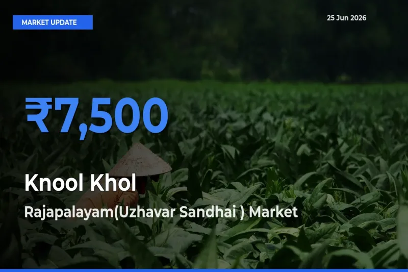 Rajapalayam(Uzhavar Sandhai ) Leads as Top Mandi for Knool Khol Prices