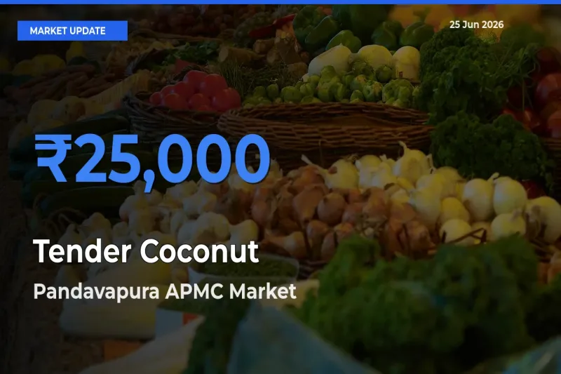 Pandavapura APMC Tops Tender Coconut Rates – June 25 Market Update