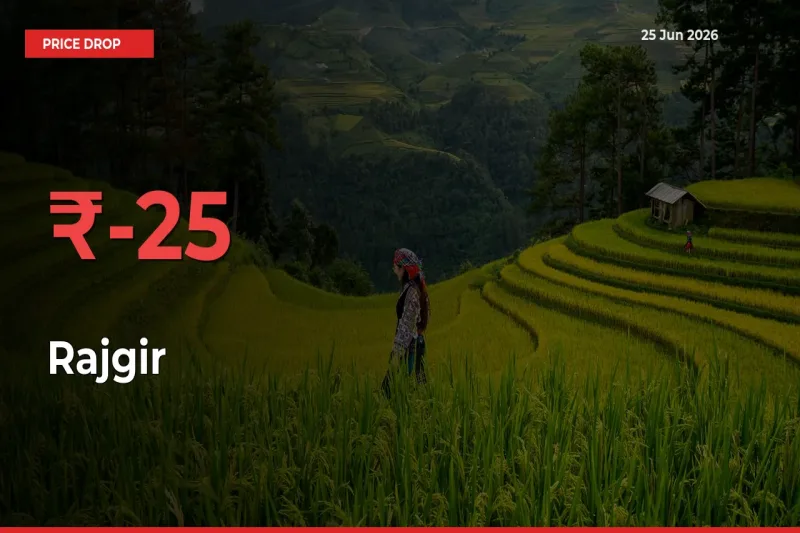 Why Rajgir Prices Fell 24.55% in a Day at Mandis