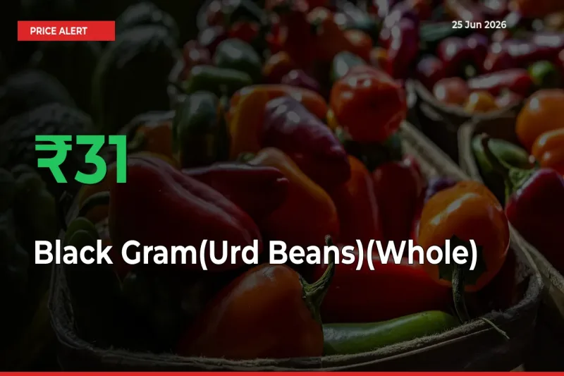 This Mandi Records 31.02% Jump in Black Gram(Urd Beans)(Whole) Prices