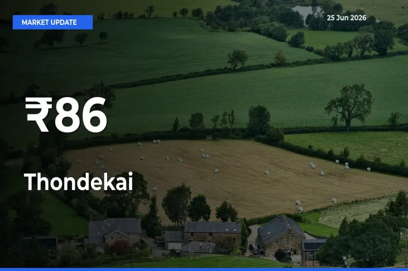 Thondekai Mandi Prices Move in Sync Across Major Markets Today