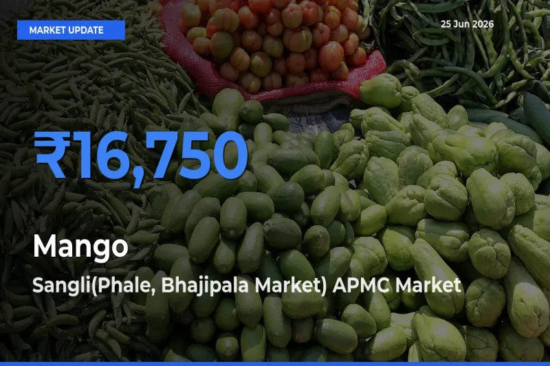 Sangli(Phale, Bhajipala Market) APMC Records Highest ₹16,750 Rate for Mango