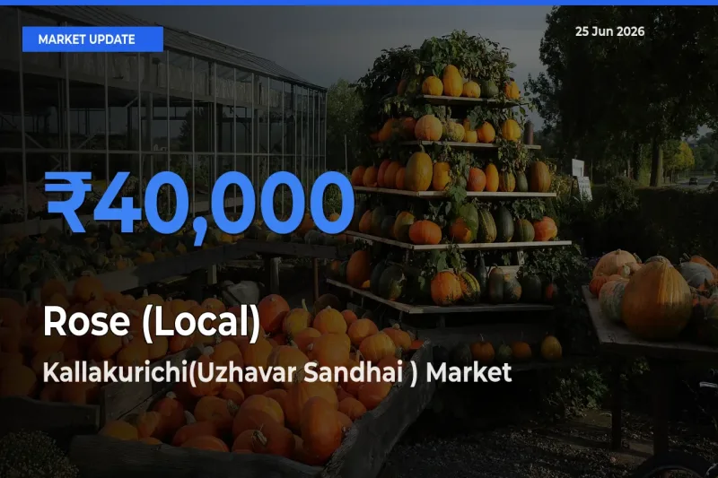 Kallakurichi(Uzhavar Sandhai ) Offers ₹40,000 – Highest Rose (Local) Rate Today