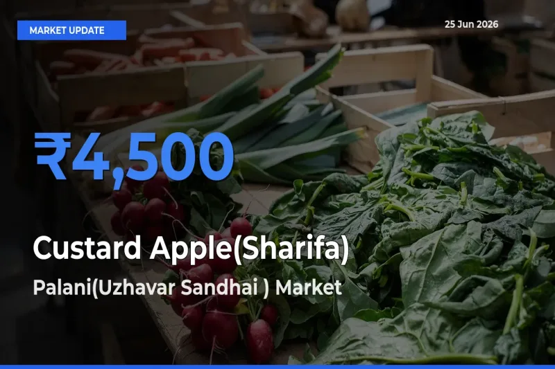 Palani(Uzhavar Sandhai ) Leads as Top Mandi for Custard Apple(Sharifa) Prices