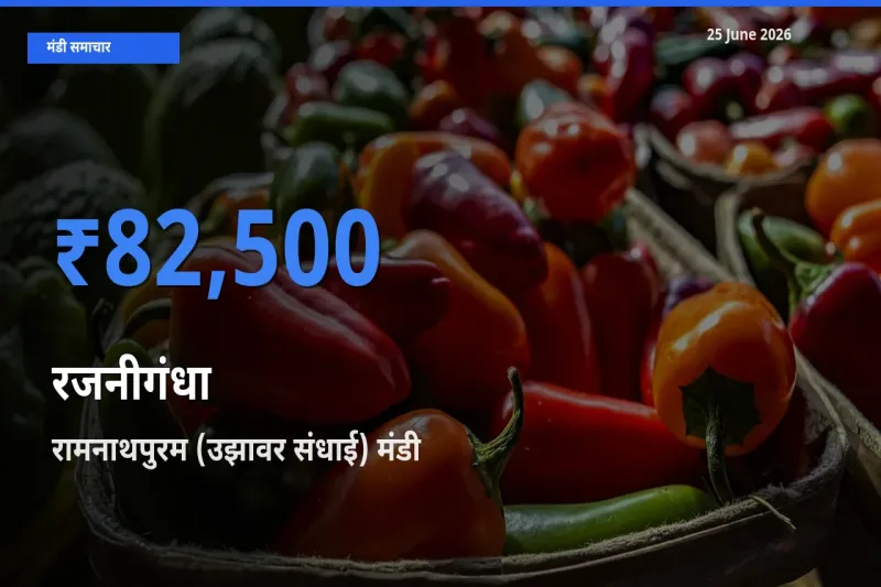 रामनाथपुरम (उझावर संधाई) में रजनीगंधा का आज सबसे ऊँचा भाव