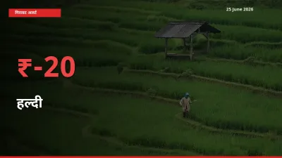 20.48% की गिरावट! मंडी में हल्दी के दाम अचानक टूटे
