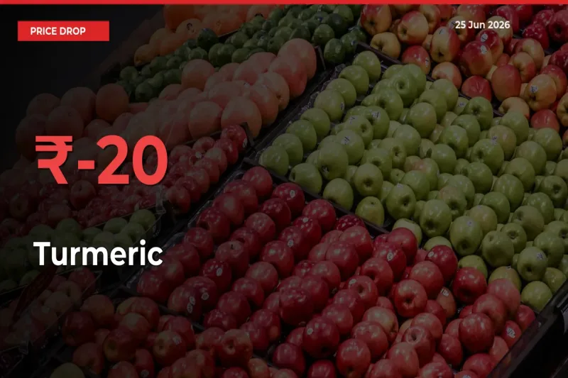 Why Turmeric Prices Fell 20.48% in a Day at Mandis