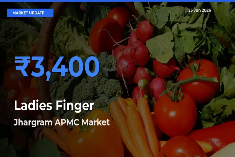 Farmers Prefer Jhargram APMC as Ladies Finger Hits Highest Rate