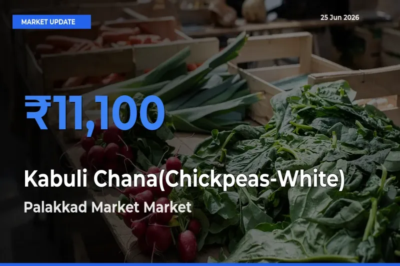 Palakkad Market Leads as Top Mandi for Kabuli Chana(Chickpeas-White) Prices
