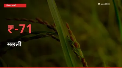 स्थानीय मंडी में मछली के दाम अचानक 70.53% गिरे, किसानों की चिंता बढ़ी