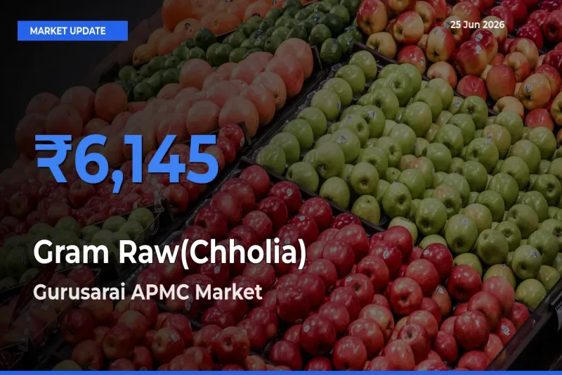 Farmers Prefer Gurusarai APMC as Gram Raw(Chholia) Hits Highest Rate