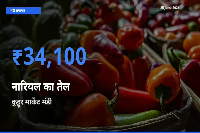 बाज़ार संकेत: कुट्टूर मार्केट बना नारियल का तेल के लिए आज की टॉप मंडी