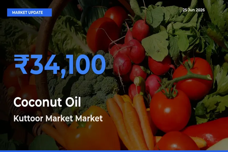 Kuttoor Market Offers ₹34,100 – Highest Coconut Oil Rate Today