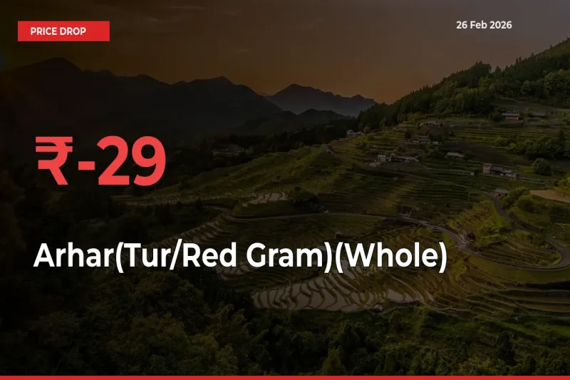 Arhar(Tur/Red Gram)(Whole) Prices Drop 29.31% in 24 Hours at Major Mandis