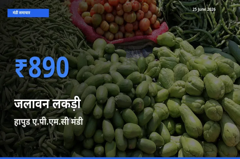 आज जलावन लकड़ी के सबसे ऊँचे दाम ₹890 हापुड ए.पी.एम.सी मंडी में