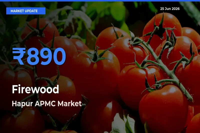 Farmers Prefer Hapur APMC as Firewood Hits Highest Rate