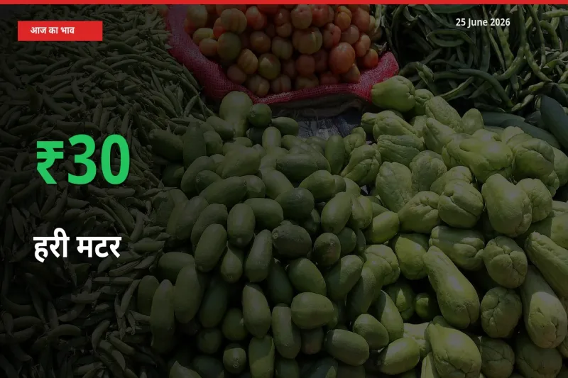 बाज़ार संकेत: हरी मटर के भाव मंडी में 29.57% ऊपर