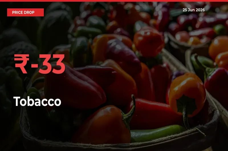 Farmers Alert as Tobacco Prices Slide 33.28% in Local Mandis