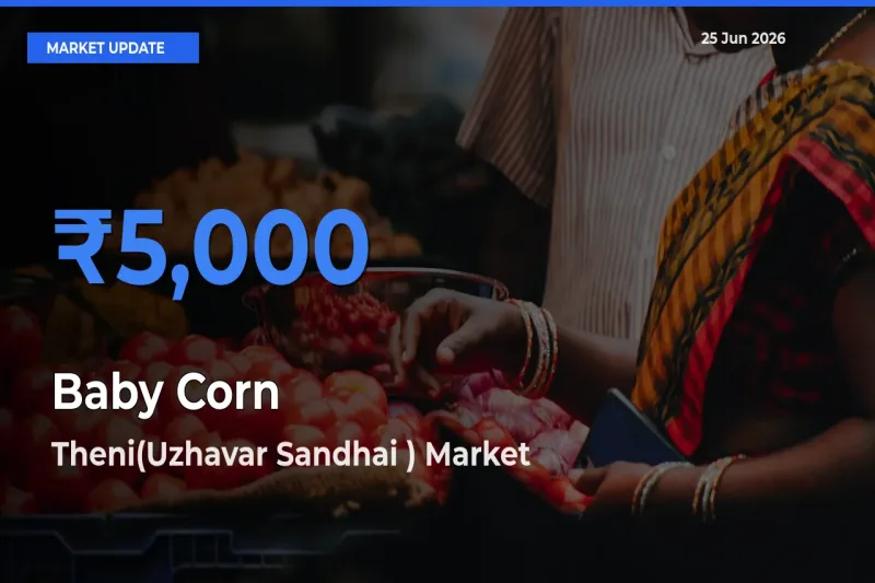 Theni(Uzhavar Sandhai ) Leads as Top Mandi for Baby Corn Prices