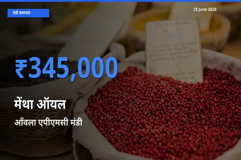 आँवला एपीएमसी में मेंथा ऑयल का आज सबसे ऊँचा भाव