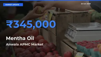 Farmers Prefer Anwala APMC as Mentha Oil Hits Highest Rate