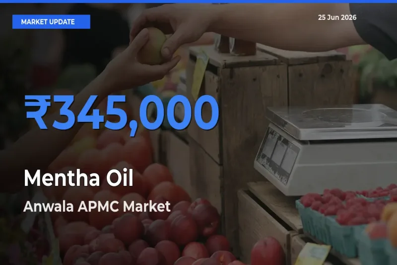 Farmers Prefer Anwala APMC as Mentha Oil Hits Highest Rate