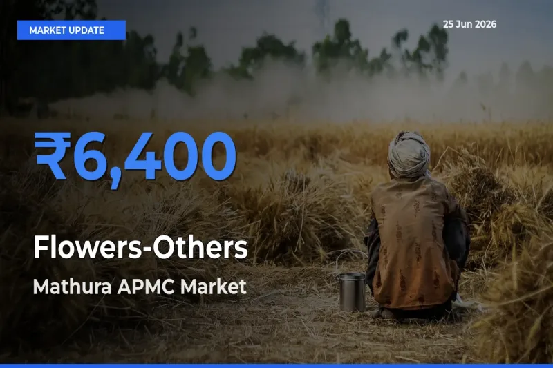 Mathura APMC Tops Flowers-Others Mandi Rates Today