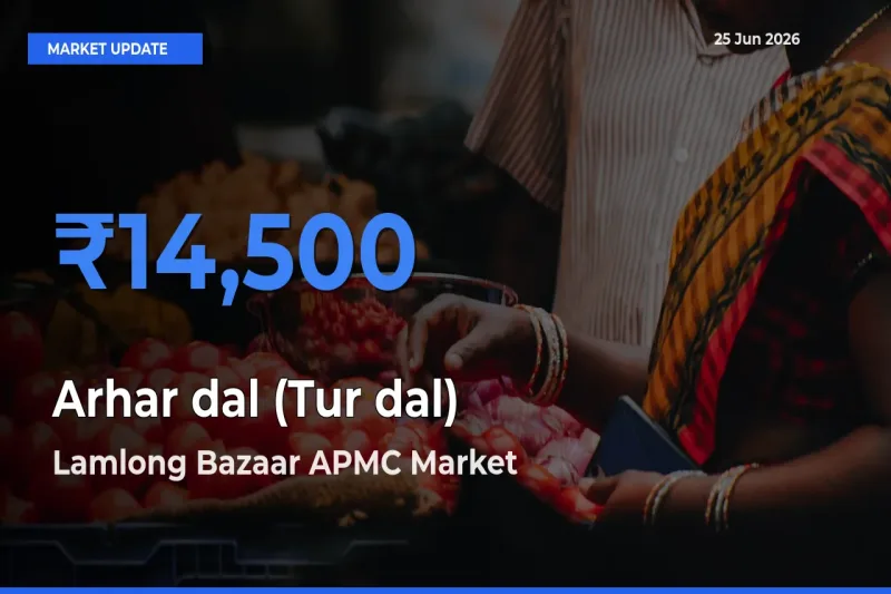 Lamlong Bazaar APMC Tops Arhar dal (Tur dal) Rates – June 25 Market Update