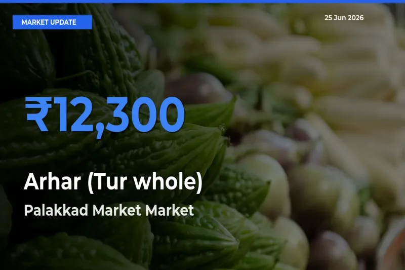 Market Watch: Palakkad Market Becomes Top Mandi for Arhar (Tur whole)