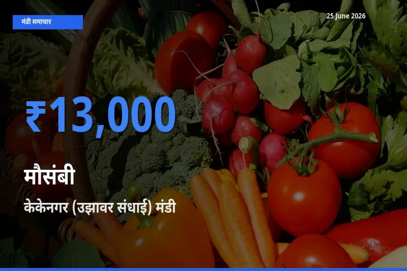 केकेनगर (उझावर संधाई) मंडी में आज मौसंबी के सबसे ऊँचे दाम दर्ज