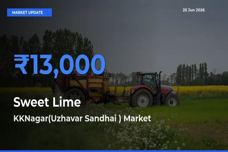 Top Performer! KKNagar(Uzhavar Sandhai ) Offers Best Sweet Lime Price Today
