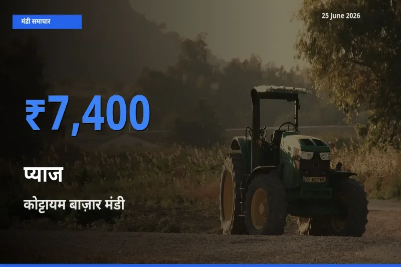 कोट्टायम बाज़ार मंडी में प्याज ₹7,400 पर पहुँचा – आज का सर्वोच्च भाव