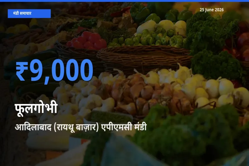 किसानों की पसंद बना आदिलाबाद (रायथू बाज़ार) एपीएमसी, फूलगोभी के सबसे अच्छे दाम