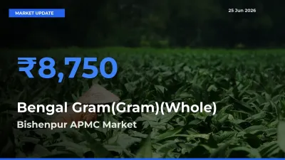 Bishenpur APMC Tops Bengal Gram(Gram)(Whole) Mandi Rates Today