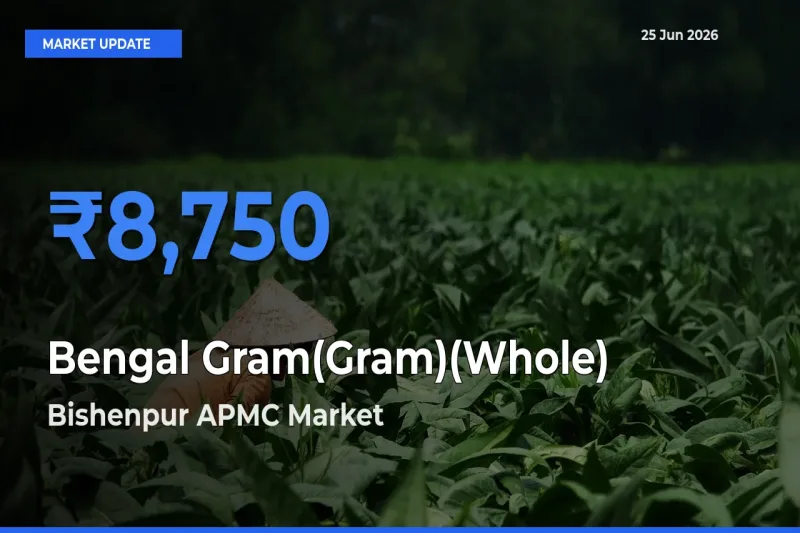 Bishenpur APMC Tops Bengal Gram(Gram)(Whole) Mandi Rates Today