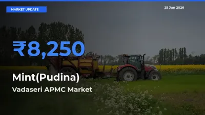 Vadaseri APMC Tops Mint(Pudina) Mandi Rates Today