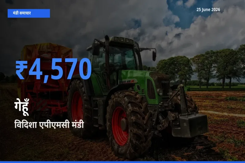 किसानों की पसंद बना विदिशा एपीएमसी, गेहूँ के सबसे अच्छे दाम