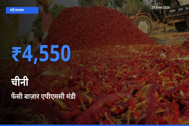 आज चीनी के सबसे ज़्यादा दाम फैंसी बाज़ार एपीएमसी मंडी में दर्ज