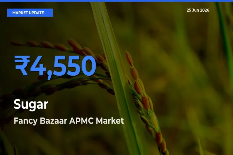 Fancy Bazaar APMC Leads as Top Mandi for Sugar Prices