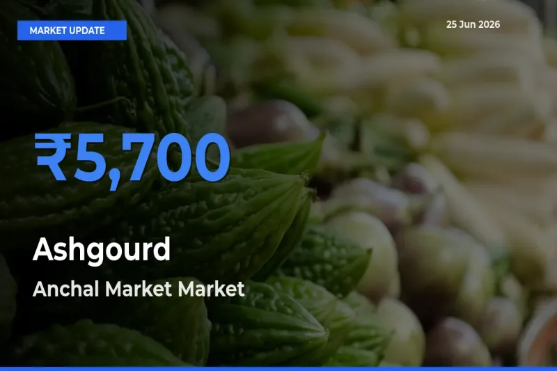 Anchal Market Emerges as Top Mandi for Ashgourd Prices Today