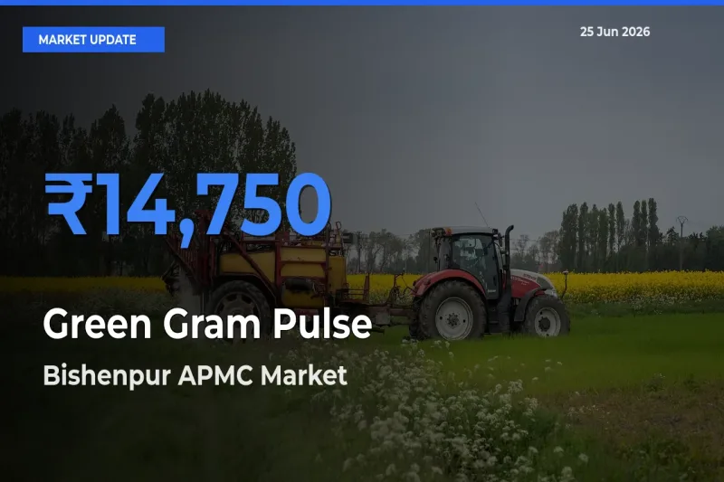 Bishenpur APMC Emerges as Top Mandi for Green Gram Pulse Prices Today