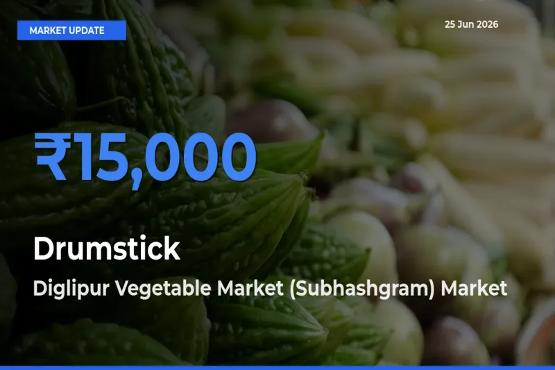 Diglipur Vegetable Market (Subhashgram) Offers ₹15,000 – Highest Drumstick Rate Today