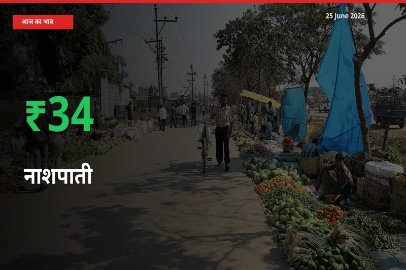 बाज़ार संकेत: नाशपाती के भाव मंडी में 33.93% ऊपर