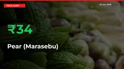 Pear (Marasebu) Rises 33.93% at Mandis