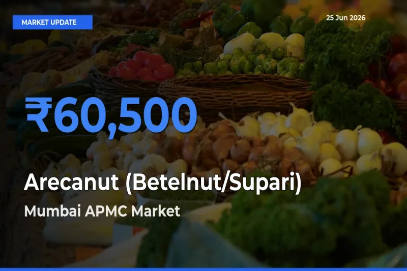 Market Watch: Mumbai APMC Becomes Top Mandi for Arecanut (Betelnut/Supari)