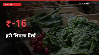 आज का मंडी भाव: हरी शिमला मिर्च के दाम मंडी में 15.94% नीचे